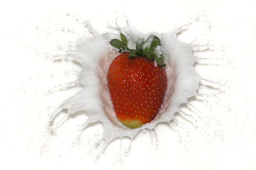 Erdbeere fällt in Milch