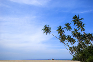 Tropical sunny beach
