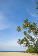 Fototapeta premium Tropical sunny beach