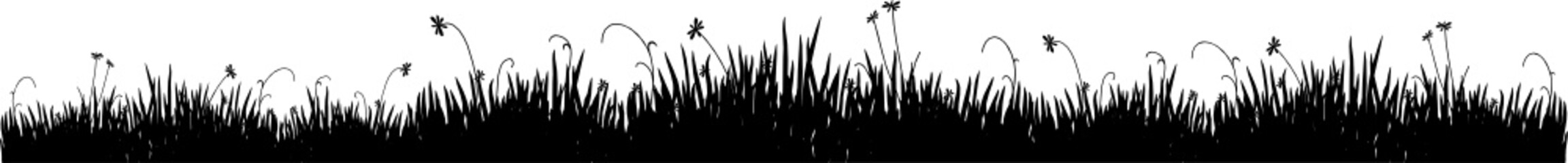 Black silhouette of a meadow grass on a white background - 8485705