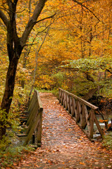 Autumn scenery with a bridge