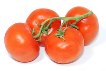tomates