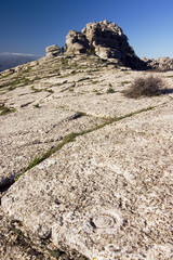 fosiles © hazelmouse