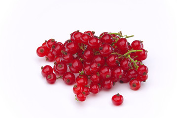 Johannisbeere - currant 10