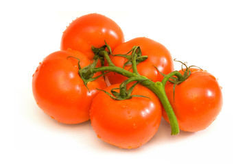 Tomatoes