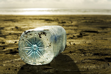 Une bouteille à la mer