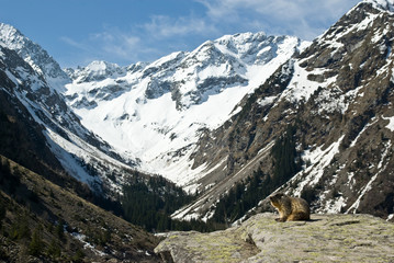 Fototapeta na wymiar lac du lauvitel - Oisans- Alpes