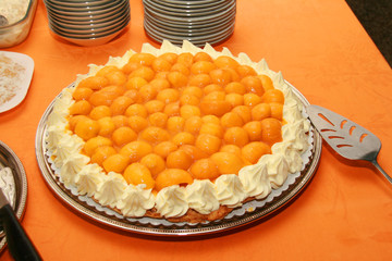 mango torte cake