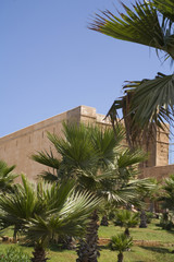 Fototapeta na wymiar fortyfikacje i palmy w Rabat, Maroko