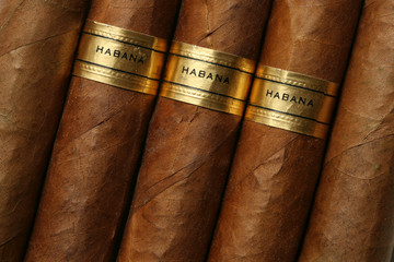 Havana Cigars Texture