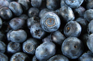 Blueberries