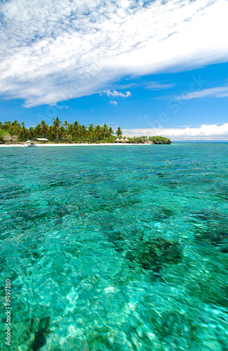 crystal clear waters in bohol philippines