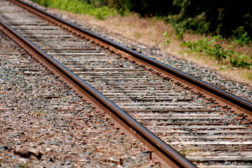 Fototapeta premium Railroad Tracks