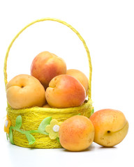 Fresh apricots