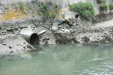 égout dans rivière
