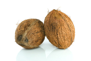 Pair of coconuts
