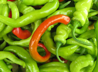 Hot peppers paprika red and green
