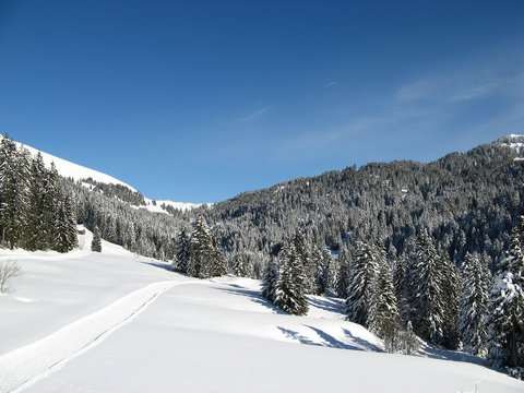 Winter in Alps