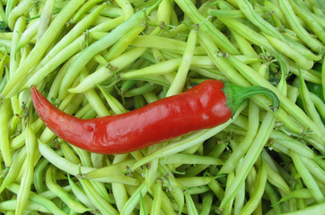 Red hot pepper and green beans