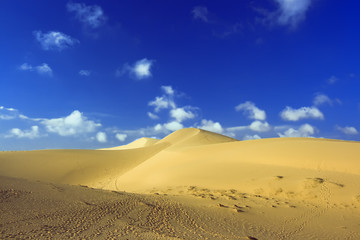 Sandy desert
