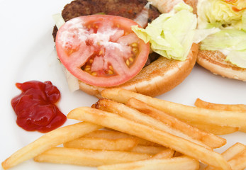 hamburger with french fries