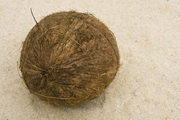 Coconut