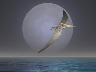 Pteranodon © Paul Moore