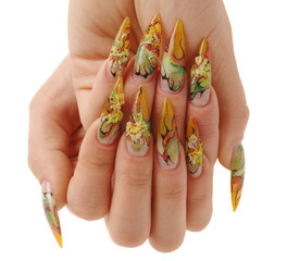 woman's hands isolated