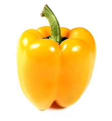 Yellow pepper on a white background