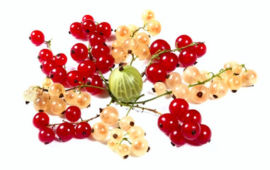 Fresh red, white currants and gooseberry