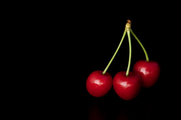 Cherry