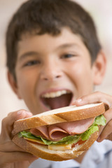 Young boy eating sandwich