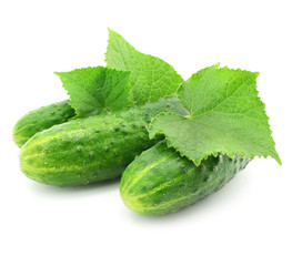 green cucumber vegetable fruits with leafs isolated