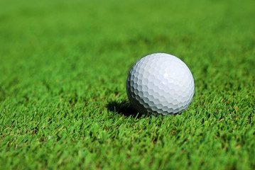 Golf ball on the green