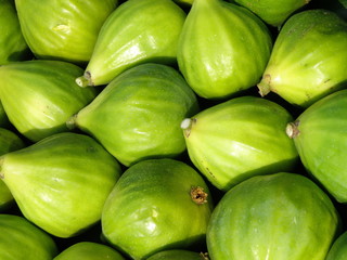 fig