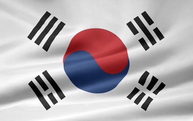 Südkoreanische Flagge - 8529158