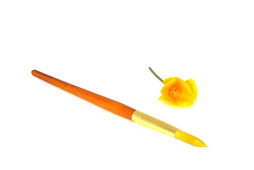 Paintbrush and flowers
