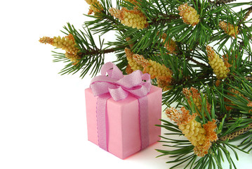 Gift under branch of fir-tree
