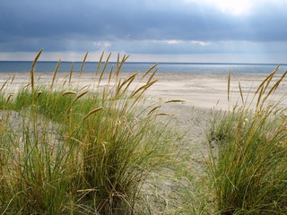 Fototapeta na wymiar opuszczony beach