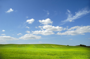 Landscape wit green field and clouds