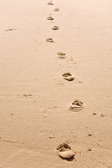 foosteps to nowhere