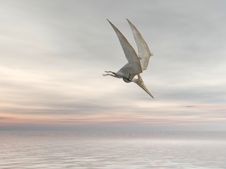 Pteranodon © Paul Moore
