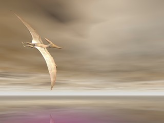 Pteranodon © Paul Moore