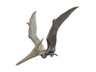 Pteranodon © Paul Moore