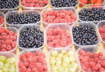 Barquettes de petits fruits