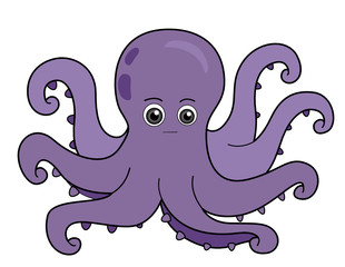 Octopus