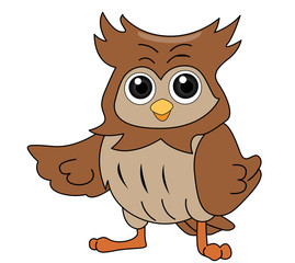 Owl