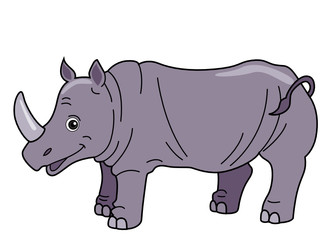 Rhinoceros