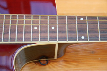 Obraz premium musical woods