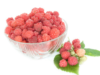 Raspberries